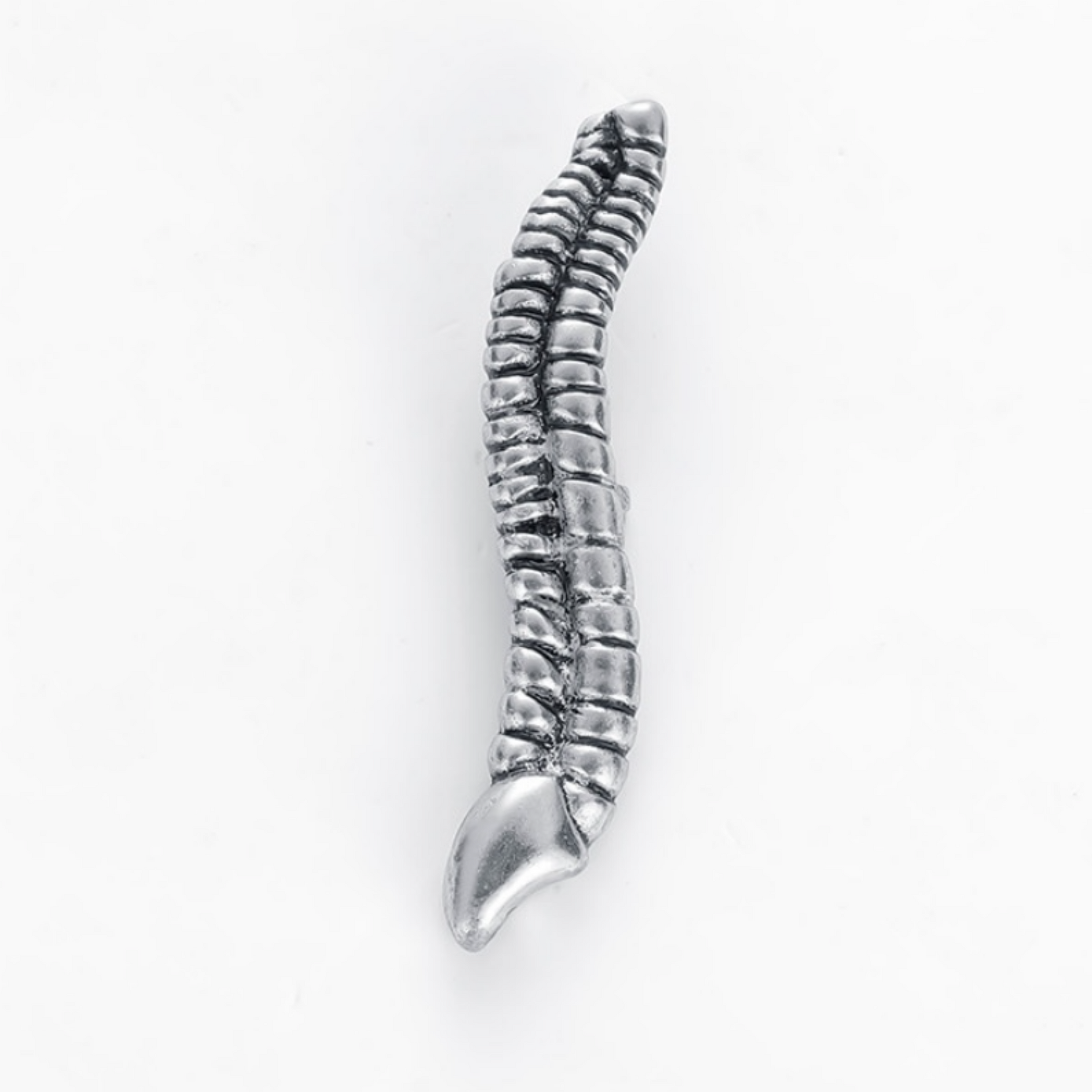 Spine Pin