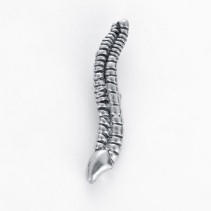 Spine Pin