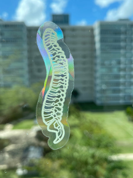 Spine suncatcher sticker